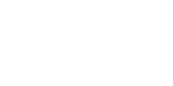 골드넷 솔루션 logo